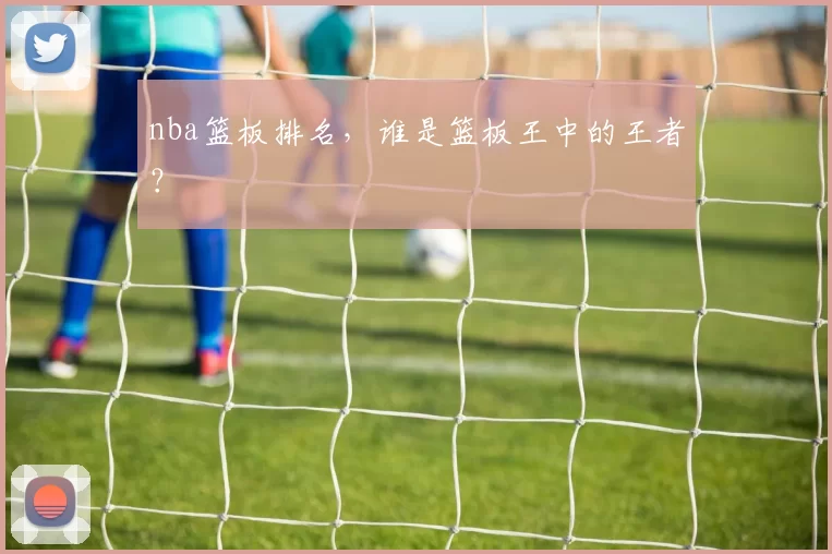 nba篮板排名，谁是篮板王中的王者？