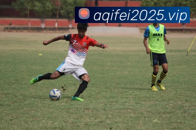 开云·kaiyun体育(中国)官方网站 - 登录入口APP 高清赛事图